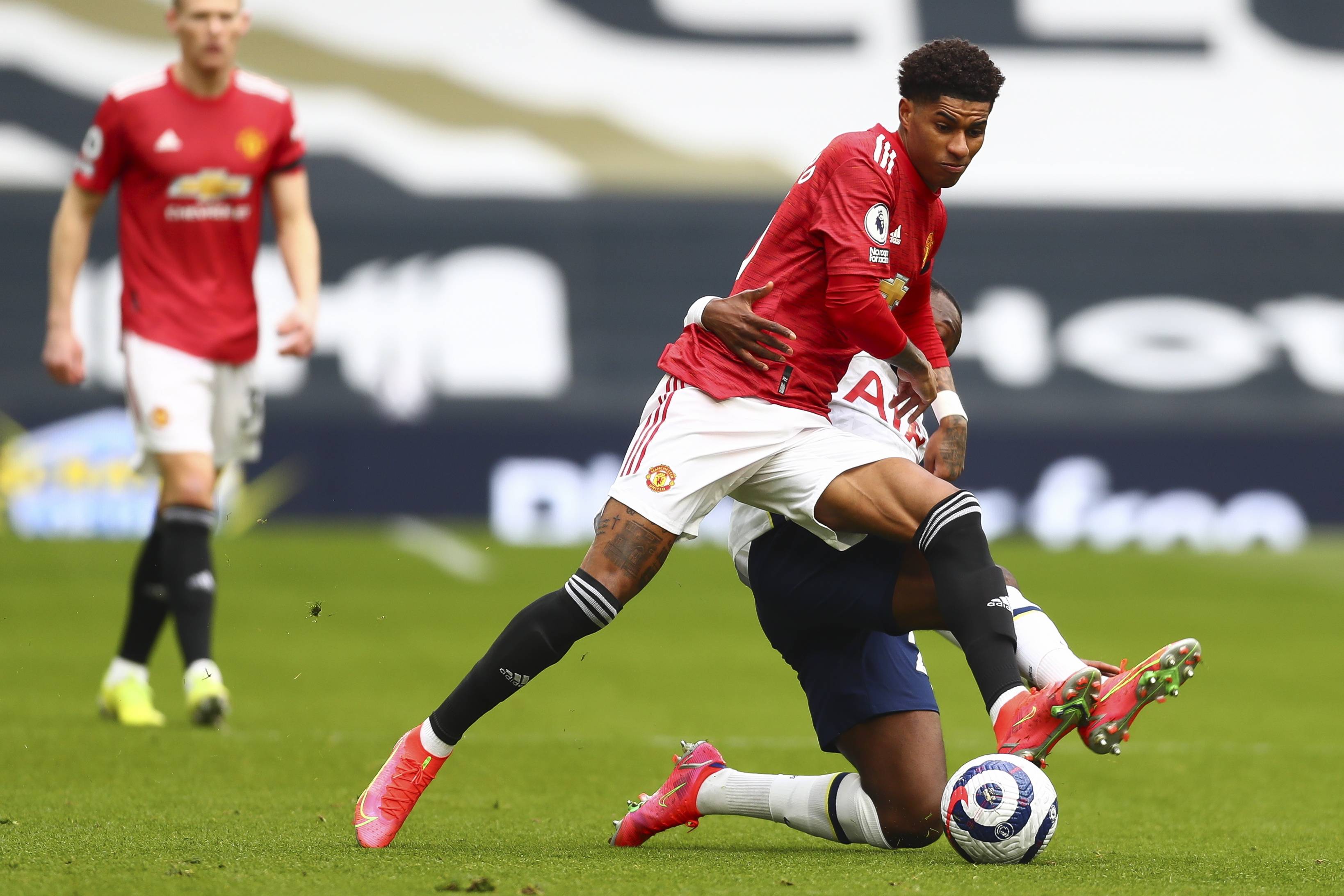 我们可以为 我们可以为